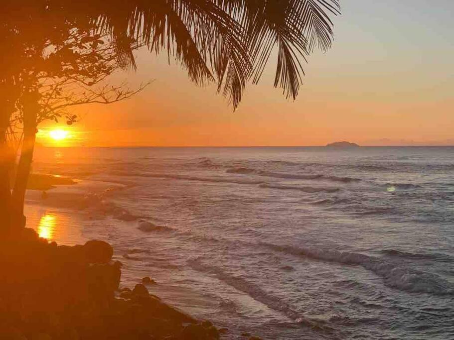 My Dream Beach House Aguada Dış mekan fotoğraf